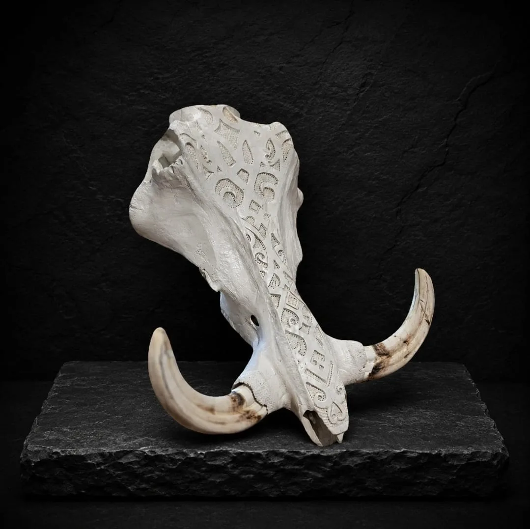 Warthog skull carved with geometric patterns and curved tusks, on a slate base