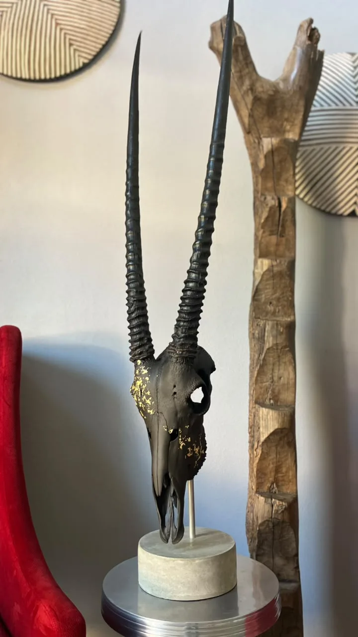 Matte black antelope skull with long ringed horns and gold-leaf flecks, mounted on a concrete base