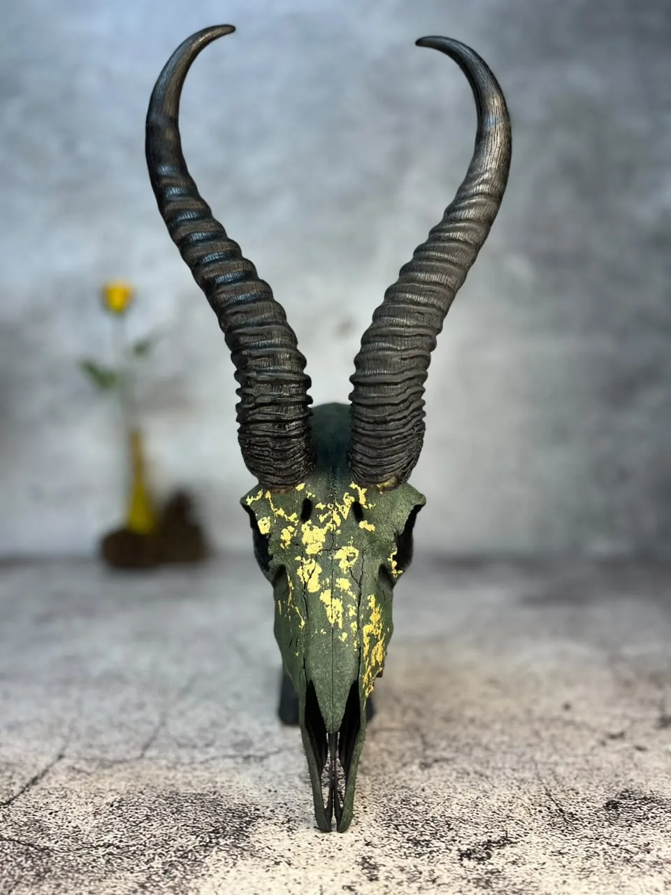 Buffalo skull finished in black with gold-edged horns and gold flecks