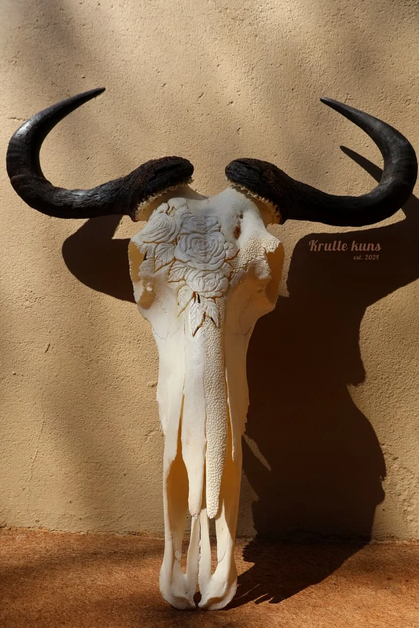 Blue wildebeest skull with a carved bouquet of white roses on the crown and long black horns, against a sunlit wall